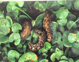 QQ图片20220606150437.png QQ图片20220606150437.png